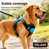 3 Piece Black No Pull Dog Harness and Leash Set with Poop Bag Holder (M Size) - Adjustable Escape Proof Reflective Vest for Small Medium Large Dogs