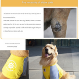 Blue 3XL Size Dog Protective Care Set - Polyester Elbow Sleeve, Adjustable Taffeta Dog Boots with Non-Slip Sole, Breathable Joint Support Clothing and Paw Protection In Australia - Darrahopens