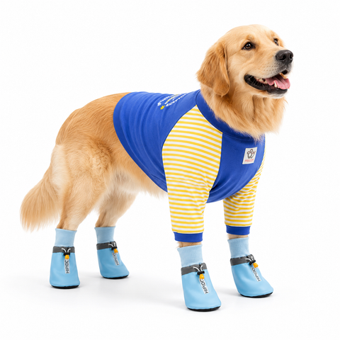 Blue 4XL Size Dog Protective Care Set - Polyester Elbow Sleeve, Adjustable Taffeta Dog Boots with Non-Slip Sole, Breathable Joint Support Clothing and Paw Protection In Australia - Darrahopens