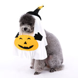 M Size Halloween Pumpkin Ghost Dog Costume - Polyester Pet Fancy Dress with Witch Hat and Spider Detail, Lightweight for Small Dogs and Cats In Australia - Darrahopens