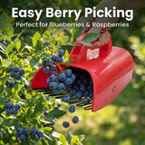 Blueberry Picker Tool with Handle, Berry Harvesting Scoop for Blueberries and Raspberries, Handheld Fruit Picking Basket Garden Tool for Easy Berry Collection