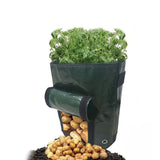 Potato Grow Bags 4 Pack 30x35cm Vegetable Planting Bags PE Garden Planter Bags for Potatoes Tomatoes Fruits and Vegetables