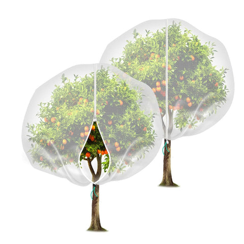Fruit Tree Netting Cover with Zipper (80x120cm)- Plastic Mesh Bird and Insect Protection for Citrus, Blueberries, Vegetables, Garden Harvest Saver In Australia - Darrahopens