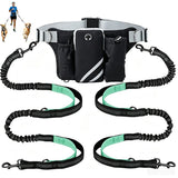 Hands Free Dog Leash Running Belt with Adjustable Bungee Lead(Mint green), Multi Pocket Outdoor Waist Bag and Free Roll of 15 Poop Bags for Walking, Jogging and Running In Australia - Darrahopens