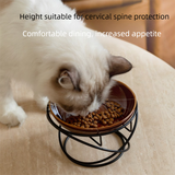 Raised Ceramic Pet Bowl with  Metal Stand White - Paw Print Cat and Dog Feeding Bowl, Removable Easy-Clean Dish with Elevated Design for Food and Water In Australia - Darrahopens