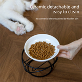 Raised Ceramic Pet Bowl with  Metal Stand Green - Paw Print Cat and Dog Feeding Bowl, Removable Easy-Clean Dish with Elevated Design for Food and Water In Australia - Darrahopens