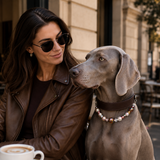 Detachable Beaded Dog Collar - Brown Microfiber PU Leather, Zinc Alloy Hardware, Adjustable S Size 20-28cm Neck, Decorative Pet Collar for Small Dogs In Australia - Darrahopens