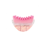 Pink Glitter Facial Contour Massage Brush(Large) - Ergonomic Crescent Shape for Face Neck and Hand Care - Soft Bristles Portable Beauty Tool In Australia - Darrahopens
