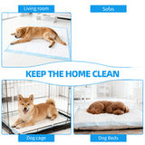 400pcs Dog Absorbent Training Pad 60 x 60 cm