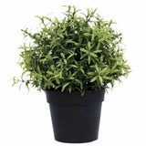 Darrahopens Appliances > Aroma Diffusers & Humidifiers > Aroma Diffusers Small Potted Artificial Rosemary Herb Plant UV Resistant 20cm