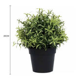 Darrahopens Appliances > Aroma Diffusers & Humidifiers > Aroma Diffusers Small Potted Artificial Rosemary Herb Plant UV Resistant 20cm