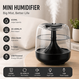 Darrahopens Appliances > Aroma Diffusers & Humidifiers > Humidifiers Black 650ML USB Mini Humidifier with Aromatherapy Function, Cool Mist Air Humidifier for Bedroom, Home Office, Quiet Large Mist Output Diffuser with Night Light
