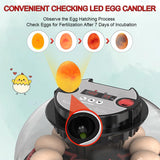 Darrahopens Appliances > Aroma Diffusers & Humidifiers > Humidifiers CARLA HOME 12 Egg Incubator with Automatic Turning, LED Display, Humidity & Temperature Control, Auto Water System & Built-in Egg Candler for Chicken, Duck, Quail, Goose