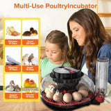 Darrahopens Appliances > Aroma Diffusers & Humidifiers > Humidifiers CARLA HOME 12 Egg Incubator with Automatic Turning, LED Display, Humidity & Temperature Control, Auto Water System & Built-in Egg Candler for Chicken, Duck, Quail, Goose
