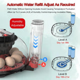 Darrahopens Appliances > Aroma Diffusers & Humidifiers > Humidifiers CARLA HOME 12 Egg Incubator with Automatic Turning, LED Display, Humidity & Temperature Control, Auto Water System & Built-in Egg Candler for Chicken, Duck, Quail, Goose
