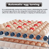 Darrahopens Appliances > Aroma Diffusers & Humidifiers > Humidifiers CARLA HOME 128 Egg Incubator with Automatic Turning, LED Display, Humidity & Temperature Control, Auto Water System & Built-in Egg Candler for Chicken, Duck, Quail, Goose
