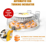 Darrahopens Appliances > Aroma Diffusers & Humidifiers > Humidifiers CARLA HOME 18 Egg Incubator with Automatic Turning, LED Display, Humidity & Temperature Control, Auto Water System & Built-in Egg Candler for Chicken, Duck, Quail, Goose