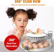 Darrahopens Appliances > Aroma Diffusers & Humidifiers > Humidifiers CARLA HOME 18 Egg Incubator with Automatic Turning, LED Display, Humidity & Temperature Control, Auto Water System & Built-in Egg Candler for Chicken, Duck, Quail, Goose