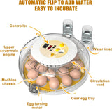 Darrahopens Appliances > Aroma Diffusers & Humidifiers > Humidifiers CARLA HOME 18 Egg Incubator with Automatic Turning, LED Display, Humidity & Temperature Control, Auto Water System & Built-in Egg Candler for Chicken, Duck, Quail, Goose