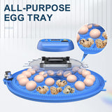 Darrahopens Appliances > Aroma Diffusers & Humidifiers > Humidifiers CARLA HOME 52 Egg Incubator with Automatic Turning, LED Display, Humidity & Temperature Control, Auto Water System & Built-in Egg Candler for Chicken, Duck, Quail, Goose