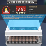 Darrahopens Appliances > Aroma Diffusers & Humidifiers > Humidifiers CARLA HOME 70 Egg Incubator with Automatic Turning, LED Display, Humidity & Temperature Control, Auto Water System & Built-in Egg Candler for Chicken, Duck, Quail, Goose