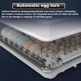 Darrahopens Appliances > Aroma Diffusers & Humidifiers > Humidifiers CARLA HOME 70 Egg Incubator with Automatic Turning, LED Display, Humidity & Temperature Control, Auto Water System & Built-in Egg Candler for Chicken, Duck, Quail, Goose
