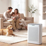 Darrahopens Appliances > Aroma Diffusers & Humidifiers > Purifiers Devanti Air Purifier H12 HEPA Cleaner PM2.5 Display Spare Filter White