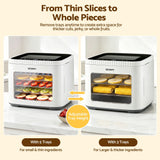 Darrahopens Appliances > Kitchen Appliances > Food Dehydrators Devanti Food Dehydrator Machine 5 Tray Mini Fruit Dryer Maker White