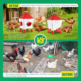Darrahopens Appliances > Kitchen Appliances > Water Dispensers CARLA HOME Chicken Feeder Waterer Set, Automatic Gravity Dispenser with 8KG Food & 8L Water Capacity, 4 Ports & Cups, Clean Poultry Feeding for Coop, Duck, Quail, Hen