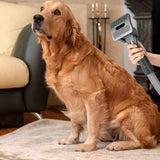 Darrahopens Appliances > Vacuum Cleaners > Vacuum Cleaner Accessories Pet Grooming Brush Kit Dog Hair Brush Vacuum Attachment for Dyson V7 V8 V10 V11 Vacuum