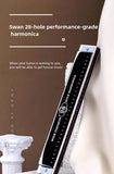 Darrahopens Audio & Video > Musical Instrument & Accessories > Audio Accessories Black 28-hole harmonica, double-row harmonica, professional harmonica, diatonic harmonica, music accessory, harmonica for beginners, harmonica for professionals, Australian music store