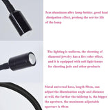 Darrahopens Audio & Video > Photography > Camera Accessories Adjustable Double-Head Led Jewelry Table Lamp For Live Photos