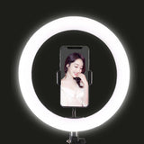 Darrahopens Audio & Video > Photography LED Selfie Ring Light with Tripod Stand & Cell Phone Holder for Live Stream/Makeup
