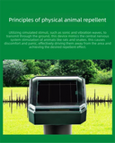 Darrahopens Audio & Video > Speakers > Audio Speakers Solar-Powered Sonic Snake and Rodent Repeller Ground Stake - Outdoor Waterproof Ground Vibration Pest Deterrent Device - Ultrasonic Control for Moles, Voles, and House Mice - Garden Lawn Protection - Green Octagon Top Model