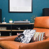 Darrahopens Audio & Video Victrola Hi-Res Carbon Turntable