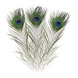 Darrahopens Auto Accessories 5-10PCS Natural Peacock Tail Eyes Feathers 75-80cm 26-30cm DIY Craft Vase Decor
