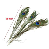 Darrahopens Auto Accessories 5-10PCS Natural Peacock Tail Eyes Feathers 75-80cm 26-30cm DIY Craft Vase Decor
