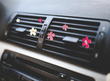 Darrahopens Auto Accessories > Auto Accessories Others > Automotive Decor 6 PCS Car Air Vent Clips White Daisy Flower Car Air Freshener Clip Air Conditioning Outlet Clip for Car Interior Decoration Accessories (2 Size)
