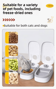 Darrahopens Auto Accessories > Auto Accessories Others > Automotive Decor Grey Silent Automatic Pet Double Meal Dispenser with Rotary Buckle - Longest 48H Scheduled and Long Battery Life, Detachable for Easy Cleaning