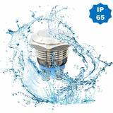 Darrahopens Auto Accessories > Auto Accessories Others > Automotive Parts Momentary Metal Push Button Switch 12V 8 pcs 16Mm For Marine Waterproof Car Rv Truck Boat