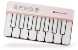 Darrahopens Baby & Kids > Baby & Kid's Toys > Musical Toys Mini Keyboard Piano - Piano for Kids - Toys for Children - Educational Toys - Portable Pocket Piano - Pink