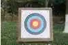 Darrahopens Baby & Kids > Baby & Kid's Toys > Outdoor Play Equipment 30Pcs Archery Targets Paper 10 Ring Bow Arrow Targets Face