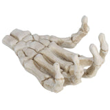 Darrahopens Baby & Kids > Baby & Kid's Toys > Outdoor Play Equipment Halloween Skeleton Hands High Hardness Corrosion Resistance Light Weight Hand Bone Ornaments for Teaching Tool Bracket In Australia - Darrahopens
