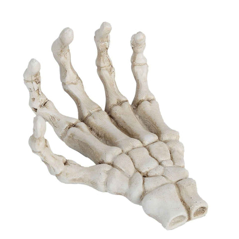 Darrahopens Baby & Kids > Baby & Kid's Toys > Outdoor Play Equipment Halloween Skeleton Hands High Hardness Corrosion Resistance Light Weight Hand Bone Ornaments for Teaching Tool Bracket In Australia - Darrahopens