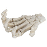 Darrahopens Baby & Kids > Baby & Kid's Toys > Outdoor Play Equipment Halloween Skeleton Hands High Hardness Corrosion Resistance Light Weight Hand Bone Ornaments for Teaching Tool Bracket In Australia - Darrahopens