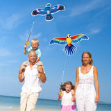 Darrahopens Baby & Kids > Baby & Kid's Toys > Outdoor Play Equipment Kids’ Mini Fishing-Rod Kite Set – 3-Pack Bird Designs, Easy-Grip Reel Handle, Adjustable Line, Lightweight & Durable for Outdoor Play, Perfect for Beginners Ages 3–8, Encourages Active Fun and Family Bonding (Multicolor)