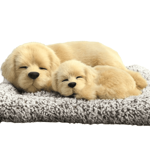 Darrahopens Baby & Kids > Baby & Kids Others > Baby & Toddler Clothing Sleepy Tails - Mother and Baby - Golden Retriever