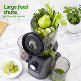 Darrahopens Commercial > Commercial Others > Distilling & Brewing DEVANTI Slow Juicer Cold Press 200W for Fruit Vegetable Juice