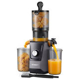 Darrahopens Commercial > Commercial Others > Distilling & Brewing DEVANTI Slow Juicer Cold Press 200W for Fruit Vegetable Juice