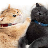 Darrahopens Electronics > Mobile Accessories > Car Mounts 2Pcs Pet Cat Collar Holder Silicone Case for Samsung Galaxy SmartTag2 Style 2
